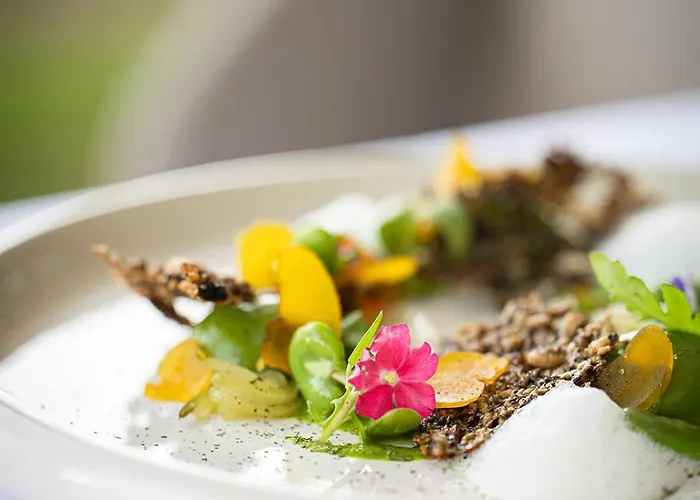 Don Cesar Порто-Веккьо